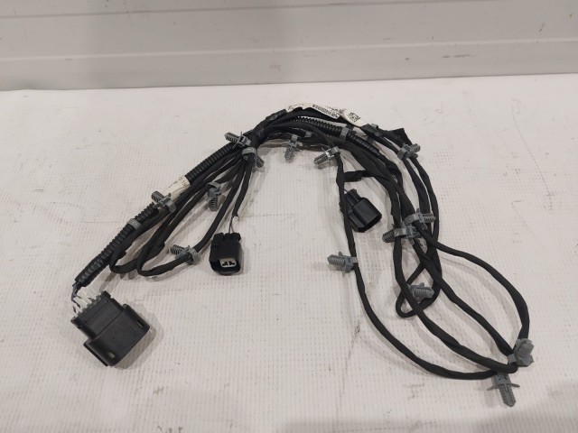 Harness 